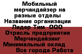 Мобильный мерчандайзер на разные отделы › Название организации ­ Лидер Тим, ООО › Отрасль предприятия ­ Мерчендайзинг › Минимальный оклад ­ 27 800 - Все города Работа » Вакансии   . Мурманская обл.,Оленегорск г.